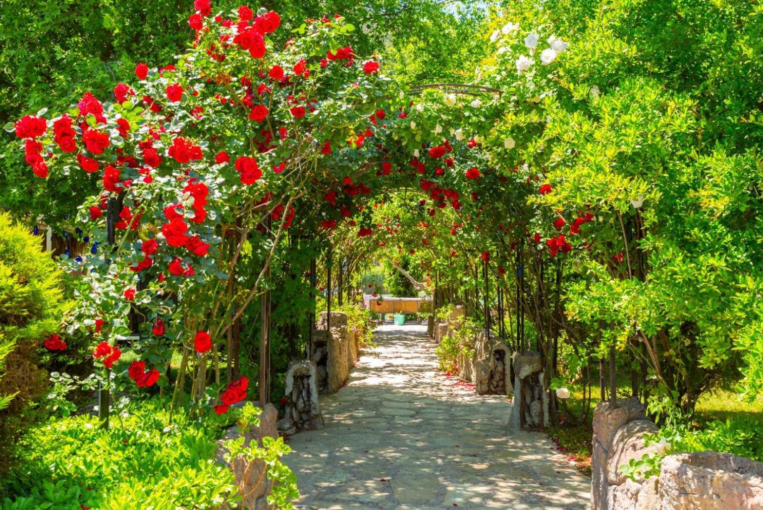 Villa Emel Paradise ムーラ エクステリア 写真